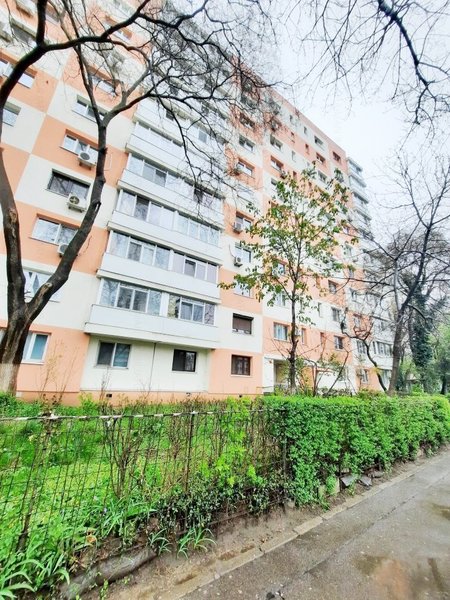 Lacul Tei, Teiul Doamnei, stradal vav Parcul Tei,